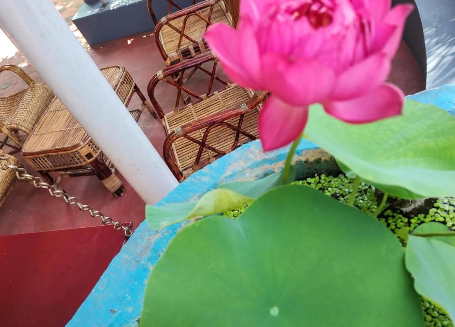 Mary Land Homestay Thiruvananthapuram Villa